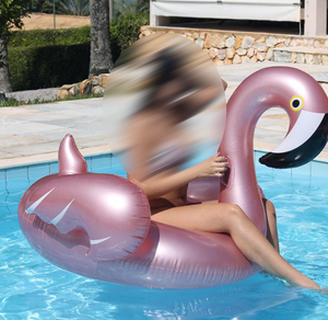 Flotte Flamant | Matelas Gonflable Aquatique